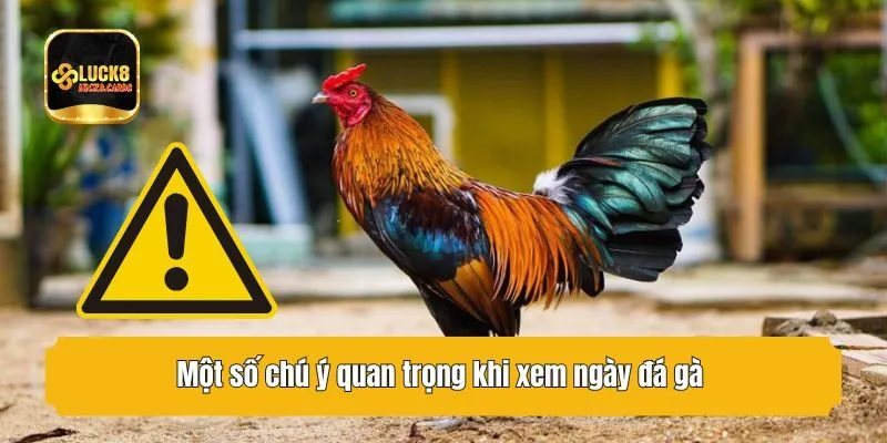 Một số chú ý quan trọng khi xem ngày đá gà